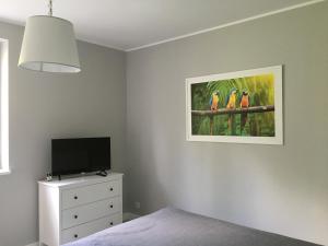 Apartament Na Urlop - Wisła Kamienna - Apartamenty z widokiem na panoramę Wisły