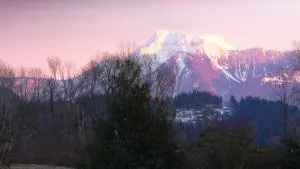 Harrison Hammond House Farmstay - Hope