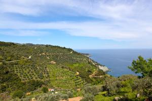 Villa Rose Skopelos Greece