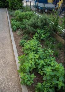 Mediterranean Family design