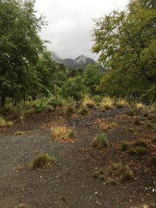 Don Guillermo Cabins