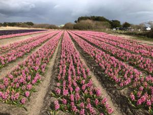 VACANCES A L OCEAN - GRAND T4 VUE MER GRAND BALCON tout confort - WIFI ET PARKING GRATUITS - MER PLAGE PISCINE à environ 25 m - Centre ville, tous commerces, marché, et port à 10 minutes à pied en longeant la mer