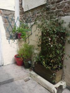 Maisons de vacances Le Ty Rose : photos des chambres