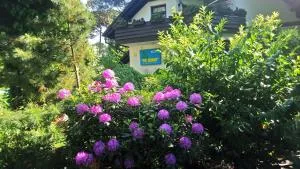 Pod Sosnami - 拉塔 Pod Sosnami - 拉塔