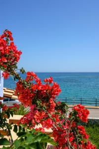 Seaside Studios Lasithi Greece