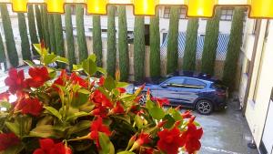 B&B Ai Cipressi