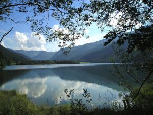 Appartements Ferienwohnungen Alpenblick