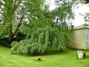 B&B / Chambres d'hotes Moulin de Rioupassat Chambres d'Hotes de Charme : photos des chambres