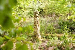 Larkhill Tipis and Yurts
