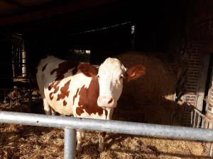 Sejours a la ferme ferme pedagogique des pennetieres : photos des chambres