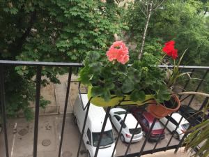 Квартира-Студия в Центре