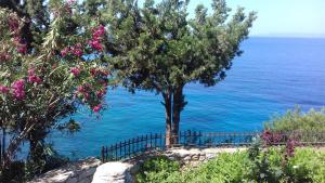 Anastasia Apartments