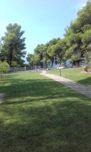 Sithonia Alekos Luxury Experience