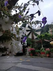 Dionysus Lasithi Plateau - Kastamonítsa