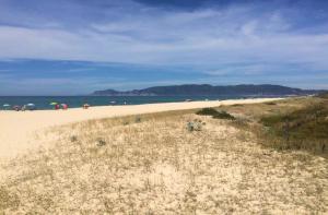 Soltroia Housefeelings