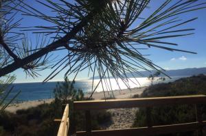 Soltroia Housefeelings