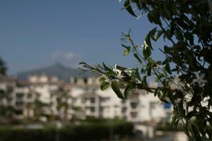 Cozy Apartment Banus
