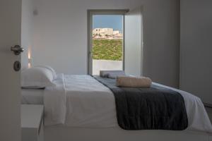 Albus Villas Santorini Greece