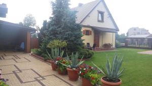 Zielone Zacisze