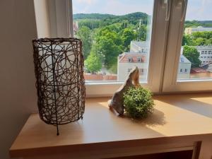 Kierunek Sopot CENTRUM