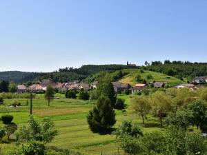 Maisons de vacances Quaint Holiday Home in Saint Quirin with hot tub nice view : photos des chambres