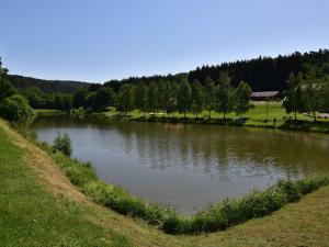 Maisons de vacances Quaint Holiday Home in Saint Quirin with hot tub nice view : photos des chambres