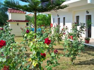 Red Rose Garden Zakynthos Greece