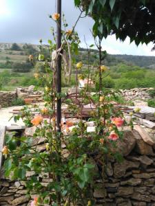Casa Rural Caseta de l Hort