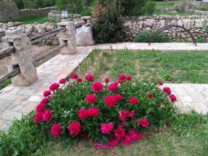 Casa Rural Caseta de l Hort