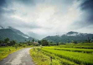 Tùng Núi Homestay