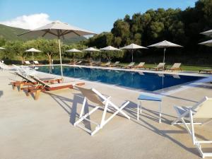 Olivista Hotel Epirus Greece