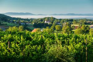Guest House Kalska Domačija