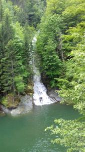 Pensiunea Drumul Voievozilor