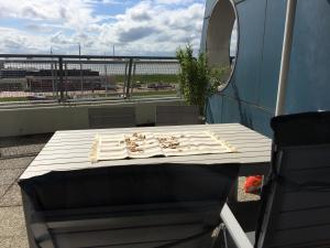 havenBlicke - großzügige Terrasse mit Blick auf die Weser