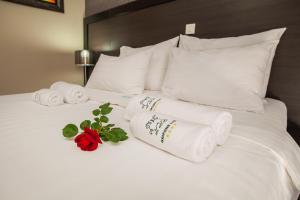 One-Bedroom Apartment (4 Adults) room in Apartments Grifone Lux