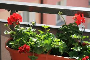 Apartamenty Starówka - Riverside II