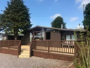 The Fuschias - 因奇