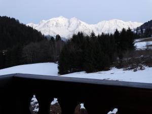 Sallanches 3101 Route de Nant Cruy immeuble le Grand R