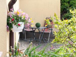 Ferienwohnung über den Dächern von Dresden