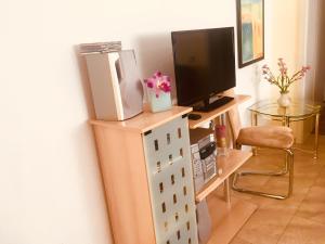 Ferienwohnung über den Dächern von Dresden