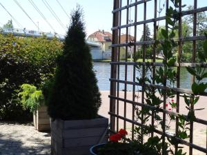 Apartament Amber