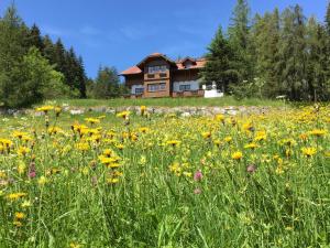 Landhaus Birgbichler - Apartments in Ramsau am Dachstein - inklusive Sommercard!