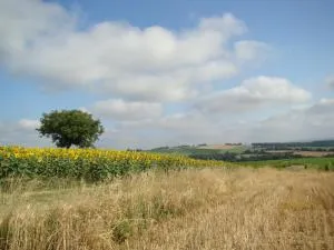 Villa Des Marronniers - Clermont-Pouyguilles