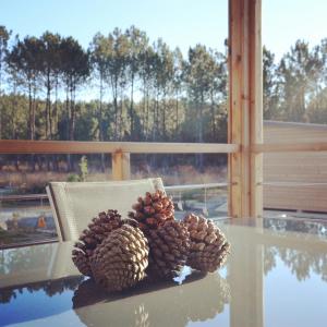 Chalets Chalet 2 chambres en Bois dans les landes n34 : photos des chambres