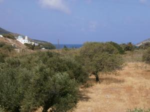 amorgaia3 Amorgos Greece