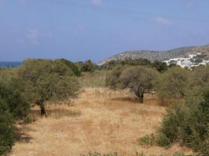 amorgaia3 Amorgos Greece