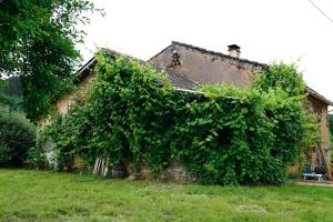 Maisons de vacances La Prairie : photos des chambres