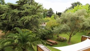 Appart'hotels Residence les Caraibes : photos des chambres