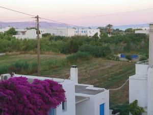 Yiannis Studios Paros Greece