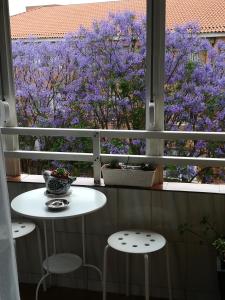 Luminoso y amplio apartamento